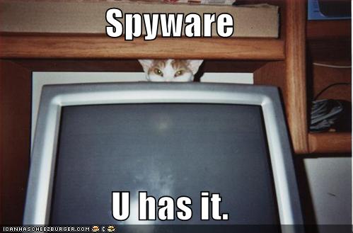 funny-pictures-spyware-cat-computer-monitor