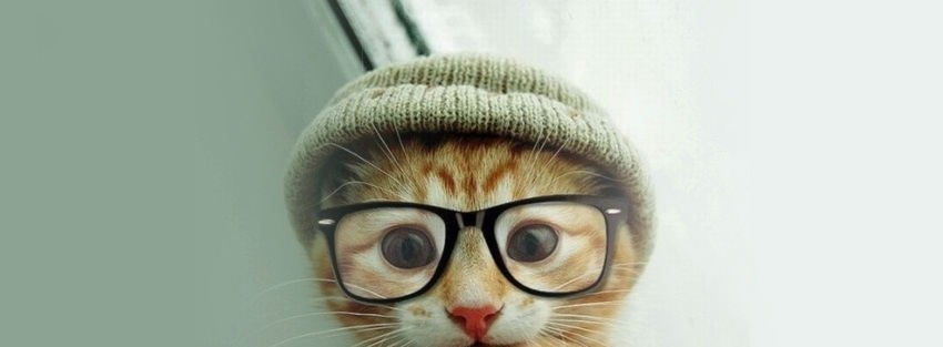 Nerdy-Cat